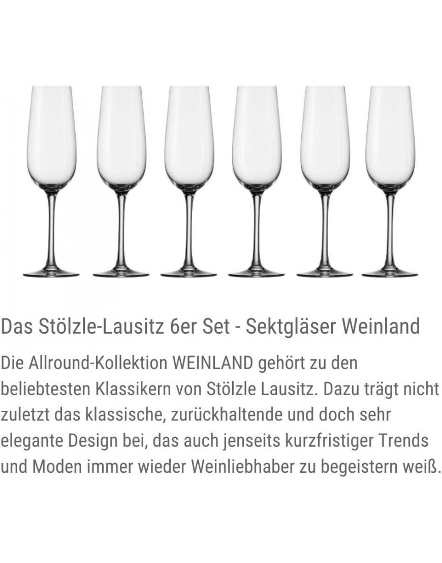 STÖLZLE LAUSITZ Verres à champagne Weinland 200 ml I verres à vin pétillant set de 6 en cristal lavables au lave-vaisselle incassables I comme soufflés à la bouche I qualité supérieure - BEK9WNISQ