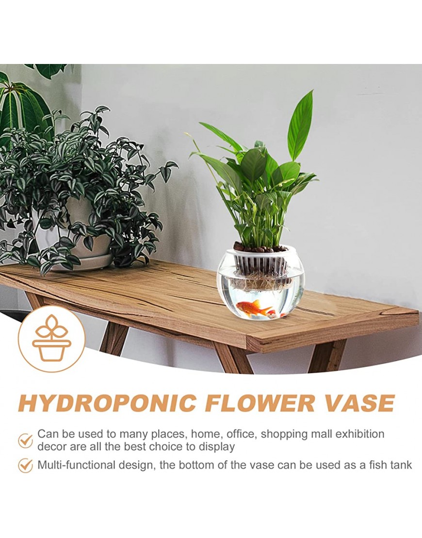 Vase de fleurs hydroponiques pour terrarium plantes aériennes plantes aromatiques pots de fleurs pour plantes de poissons fleurs centre de table - BKW8VZTBI