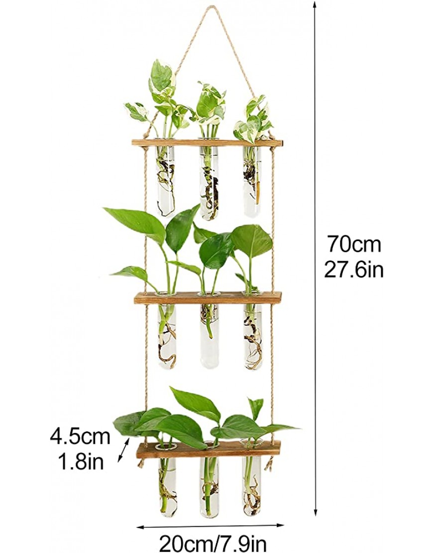 WERTSWF Plantes hydroponiques en verre avec support en bois 9 tubes à essai - BB2K1AKHI