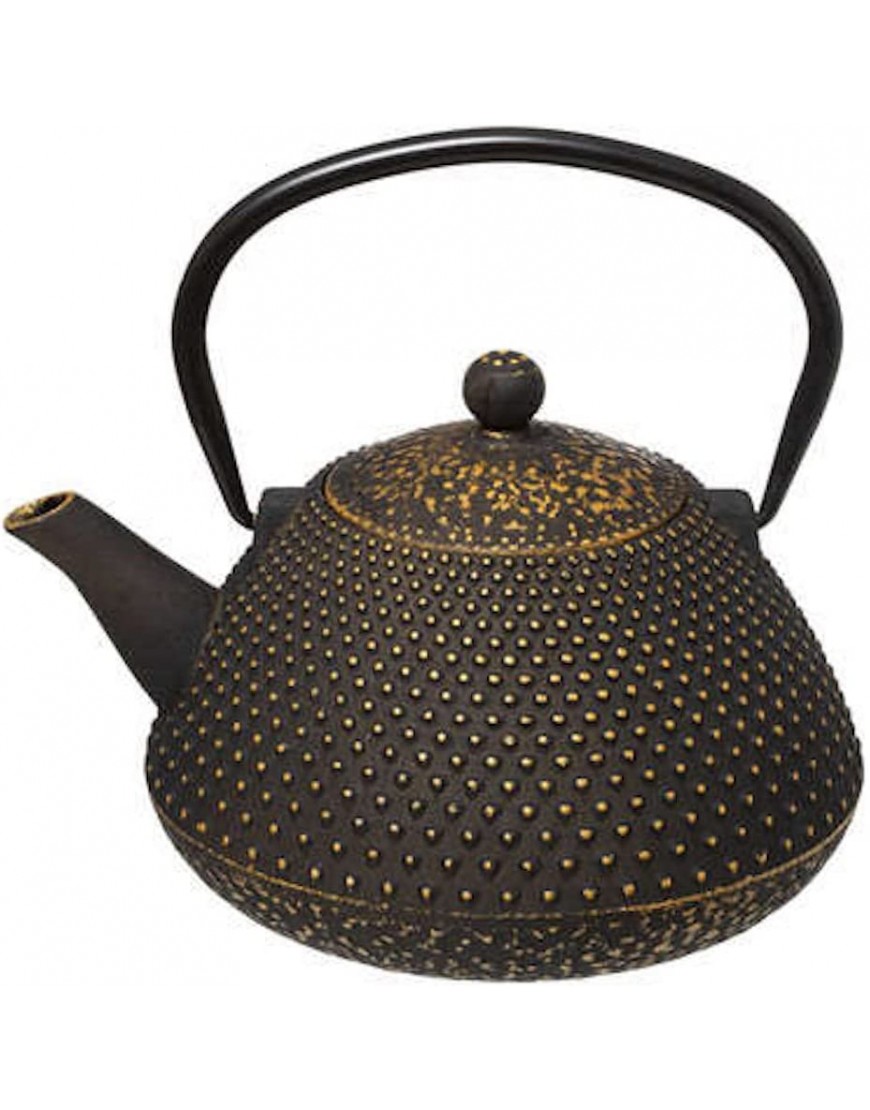 Théière japonaise en fonte avec passoire | Différents modèles de théières y compris céramique asiatique fer cast iron teapot noir fonte #12 - B3KHWKJWJ