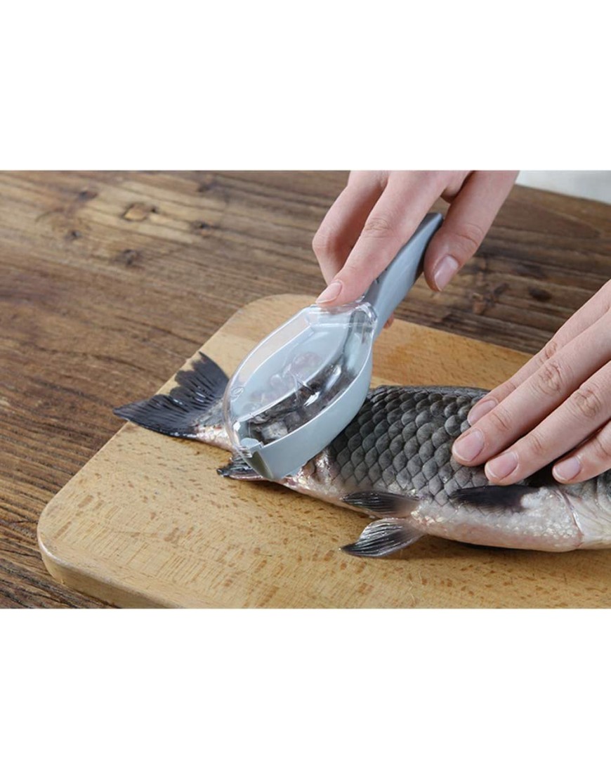 1 écailleur de poisson outil de cuisine pour enlever les écailles de poisson bleu - BVVKAWXXY