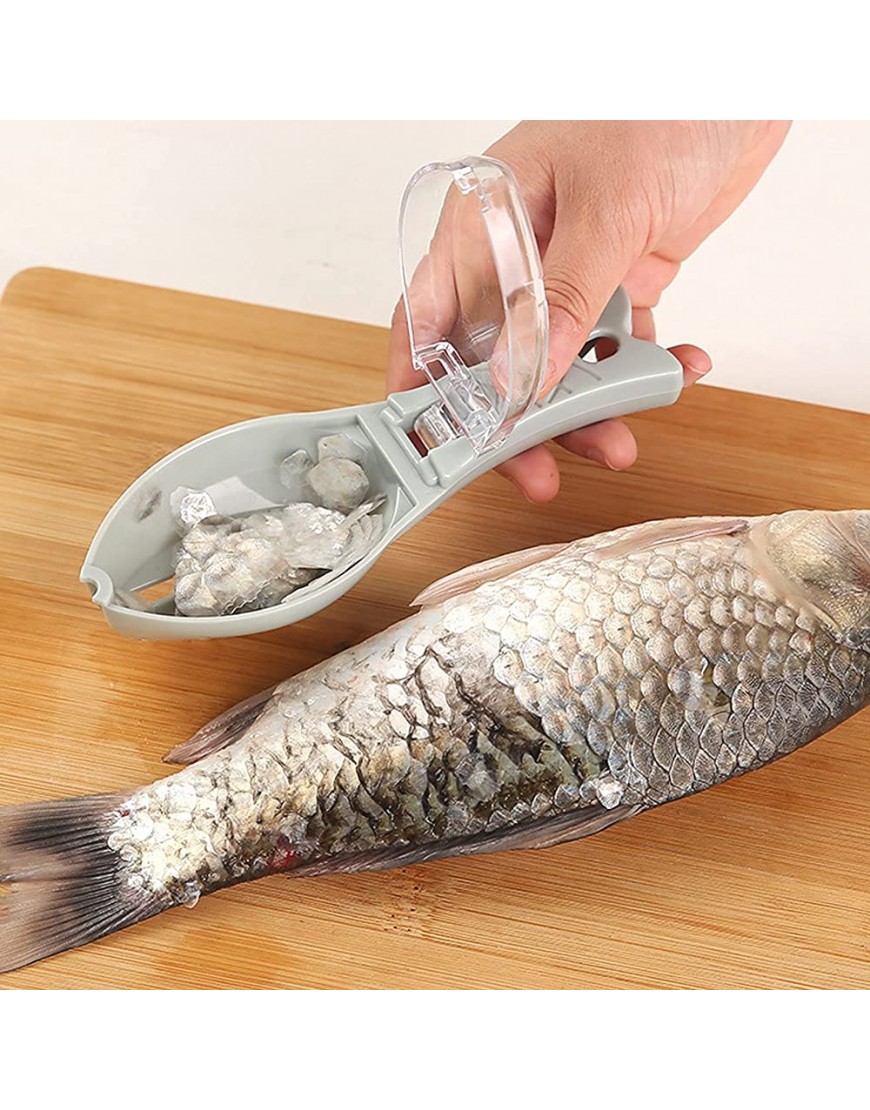 Détartreur de poisson 10 pièces dissolvant d'écailles de poisson brosse à peau de poisson en plastique grattoir à écailles de poisson en plastique outil de détartrage de poisson brosse à peau ou - BK48VPFIE