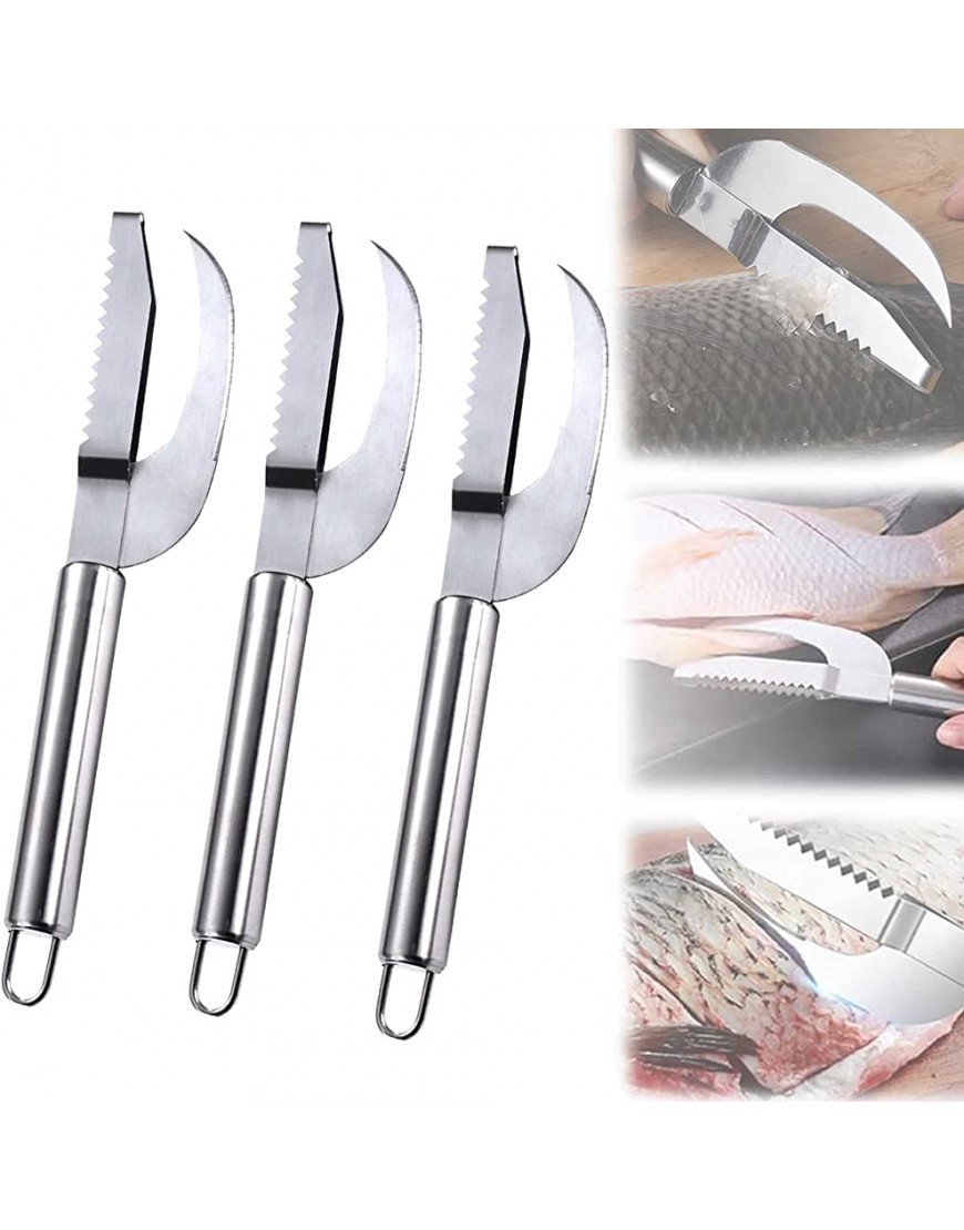 Fish Scale Knife Cut Scrape Dig 3-In-1 Stainless Steel 3 in 1 Fish Maw Knife Scaler Remover Cutter Stainless Steel Fish Scale Planer Scraper with tooth for Kitchen Fish Cleaning Tools 3PCS - BWA8DNMUK